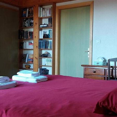 La Canopee Alsacienne - Magnifique Maison A Ribeauville エクステリア 写真