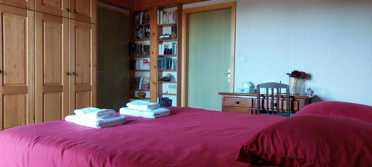 La Canopee Alsacienne - Magnifique Maison A Ribeauville エクステリア 写真