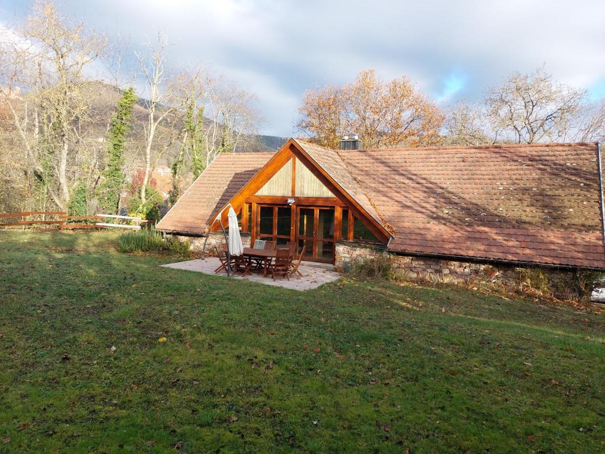 La Canopee Alsacienne - Magnifique Maison A Ribeauville エクステリア 写真