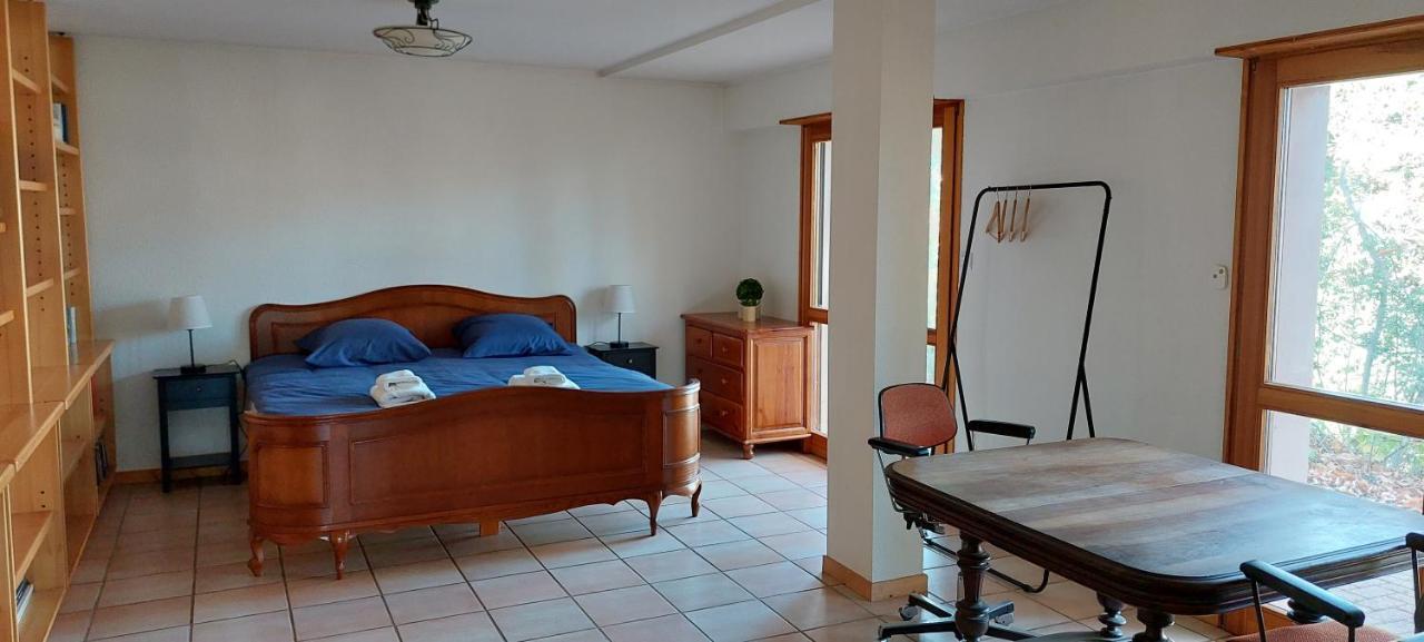La Canopee Alsacienne - Magnifique Maison A Ribeauville エクステリア 写真