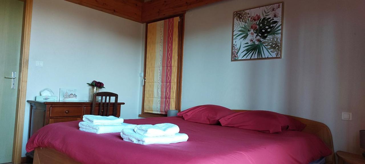 La Canopee Alsacienne - Magnifique Maison A Ribeauville エクステリア 写真