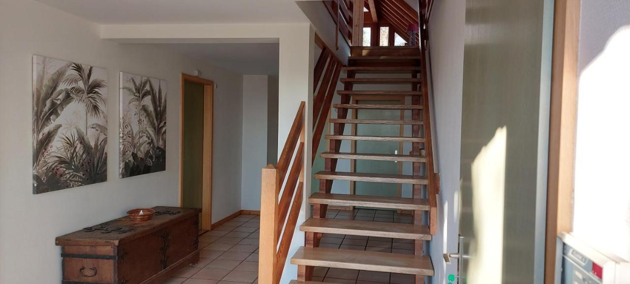 La Canopee Alsacienne - Magnifique Maison A Ribeauville エクステリア 写真