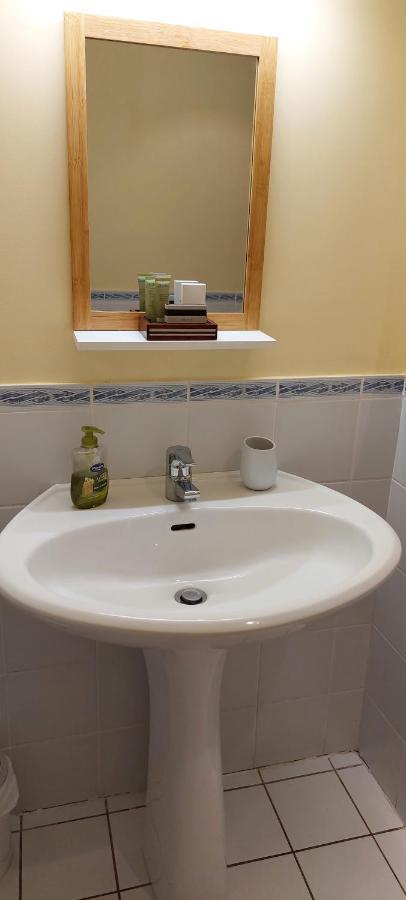 La Canopee Alsacienne - Magnifique Maison A Ribeauville エクステリア 写真