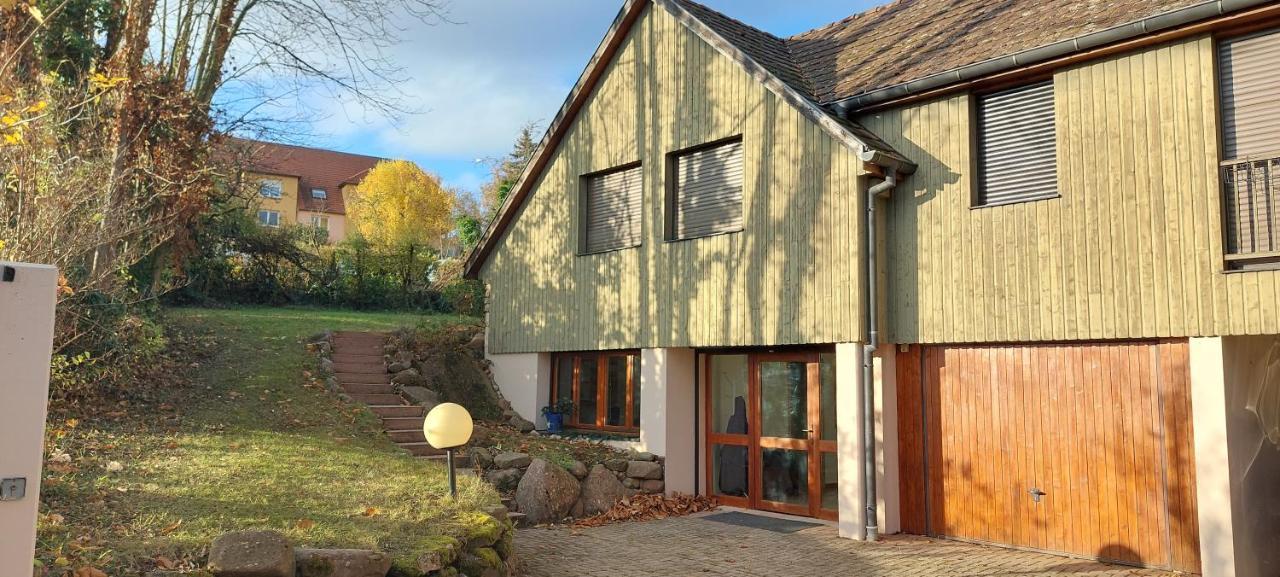 La Canopee Alsacienne - Magnifique Maison A Ribeauville エクステリア 写真